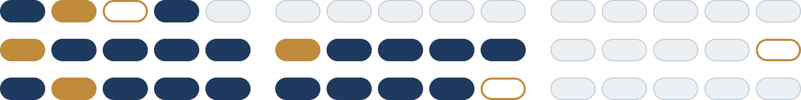 The CaliberPath brandmark — a capsule grid rendering of a Caliber Profile